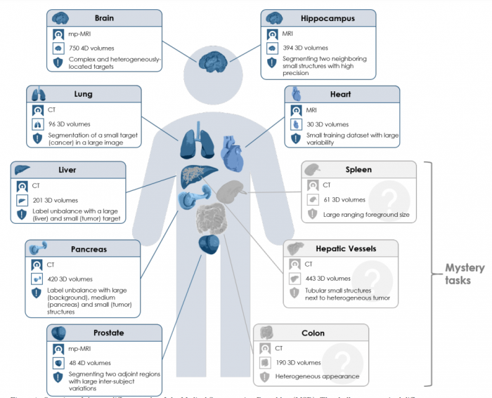 The medical segmentation decathlon – Biomedical Computer Vision