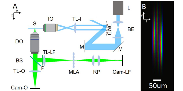 LIGHT-SHEET ENHANCED RESOLUTION OF LIGHT FIELD MICROSCOPY FOR RAPID ...