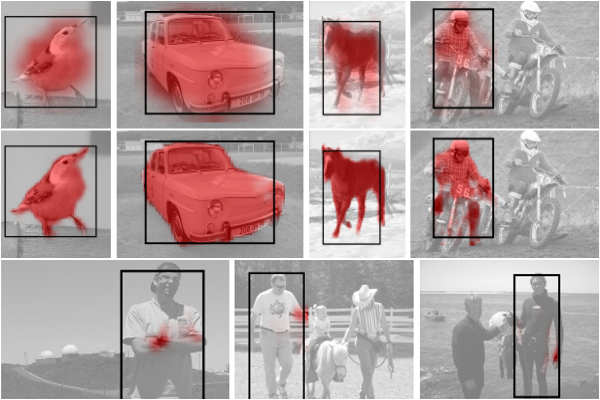 Visual Recognition - Biomedical Computer Vision