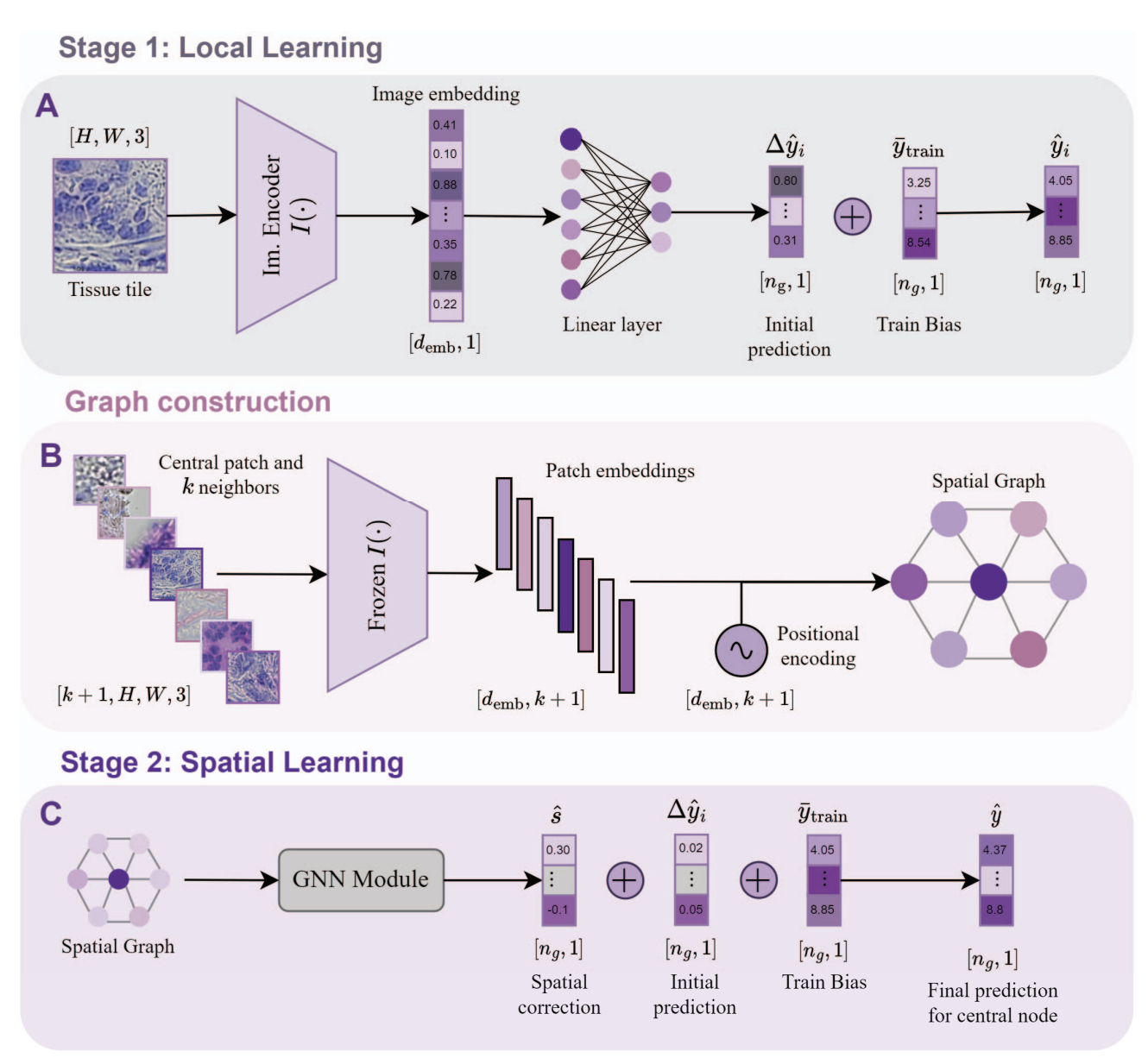 Spatial Transcriptomics - Biomedical Computer Vision